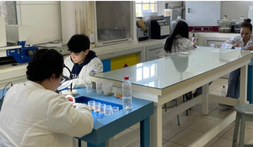 InovAgro irá investir R$ 750 mil em tecnologia na cadeia do arroz - Unidade ouro da Embrapii vai liderar projeto de dois anos na indústria