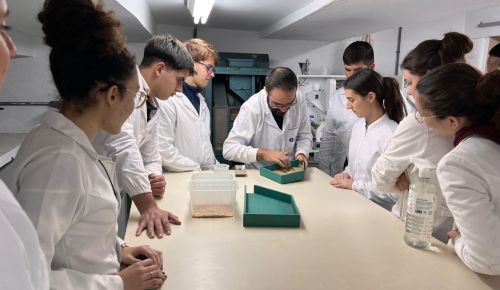 LabGrãos promove oficina sobre renda, rendimento e classificação de arroz