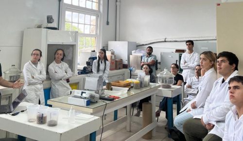 Labgrãos promove treinamento em classificação de soja para estagiários do laboratório